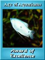 Award